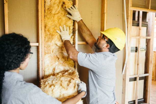 Trusted Laupahoehoe, HI Insulation Services Experts